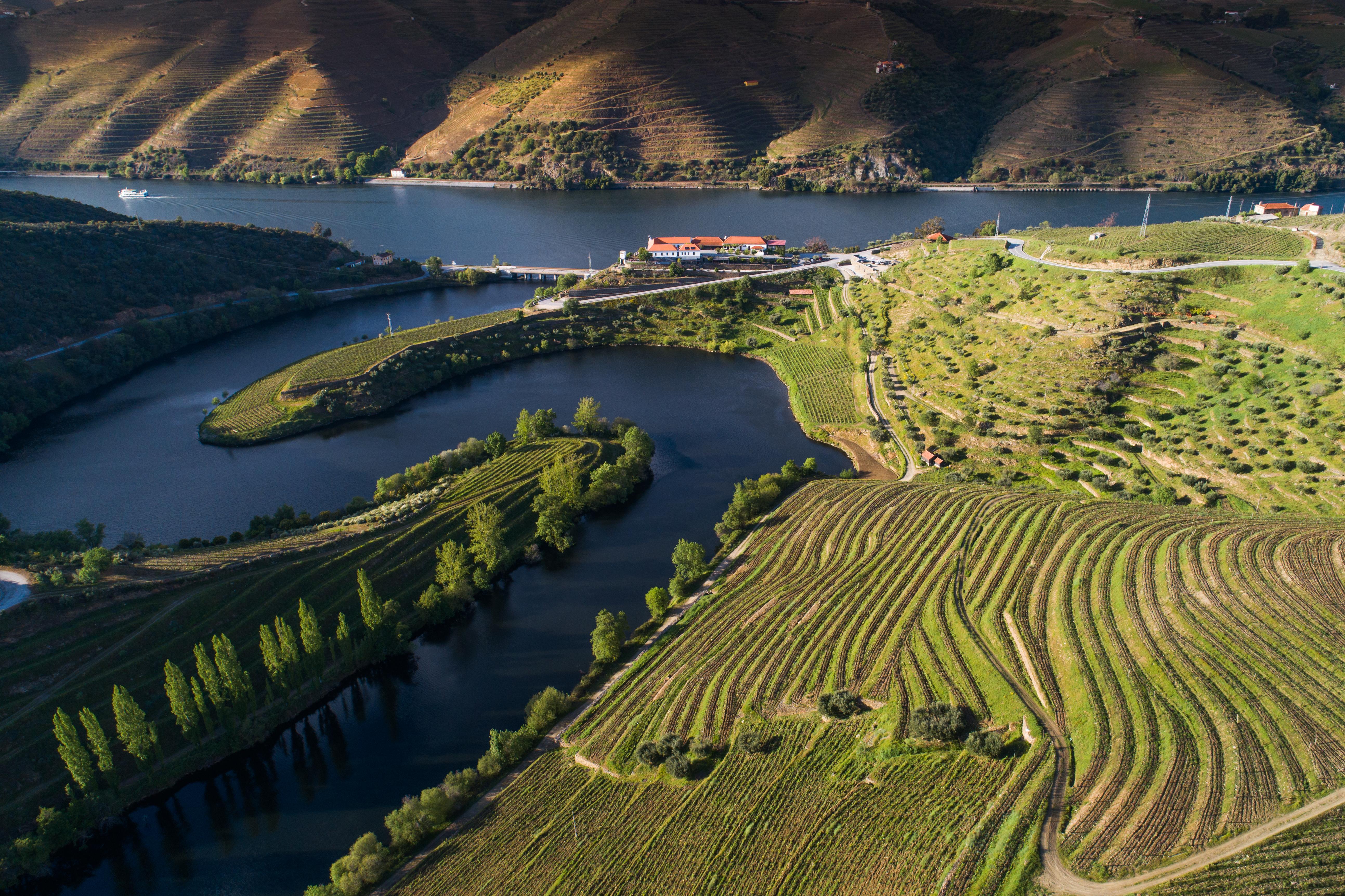 Vila Gale Douro Vineyards بلدية آرمامار المظهر الخارجي الصورة