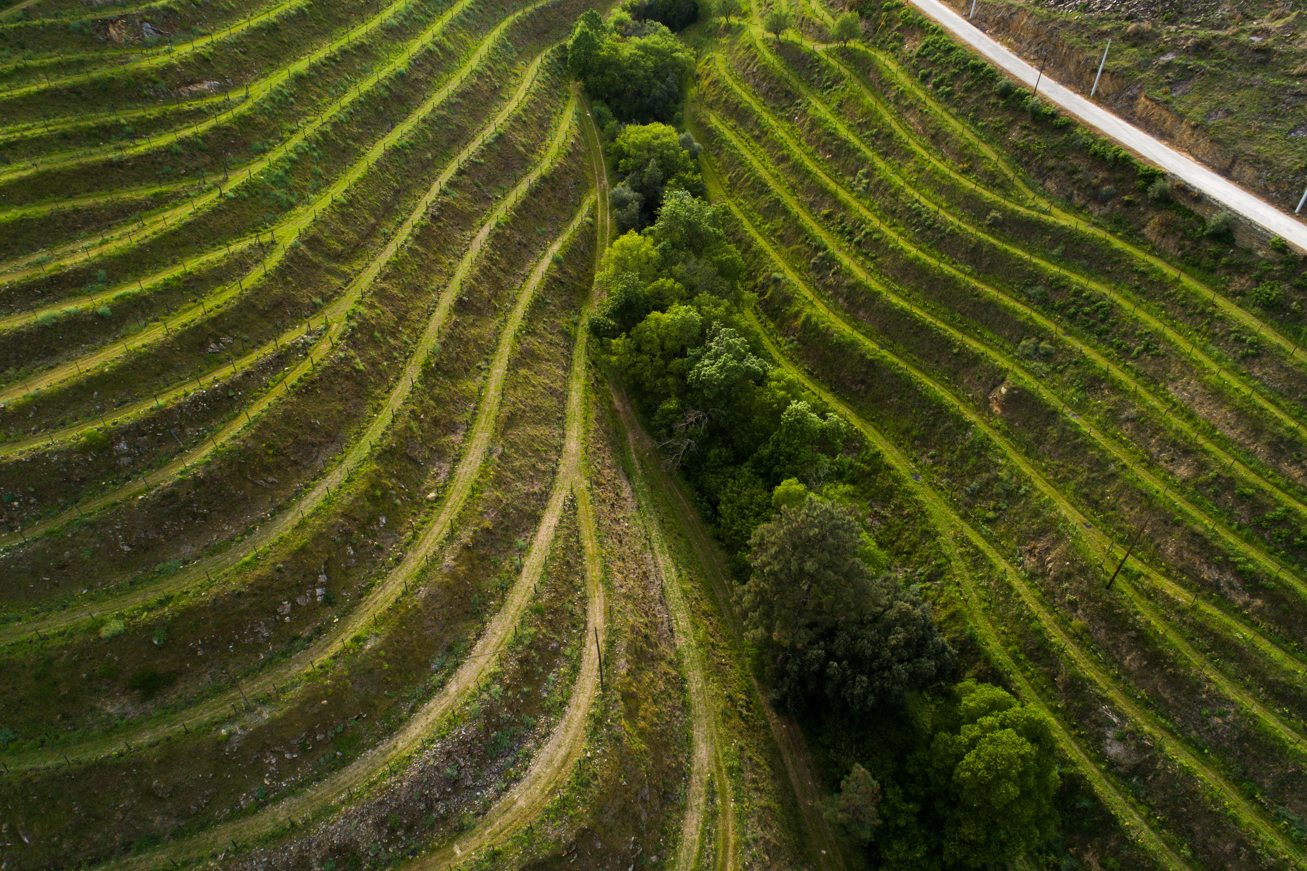Vila Gale Douro Vineyards بلدية آرمامار المظهر الخارجي الصورة