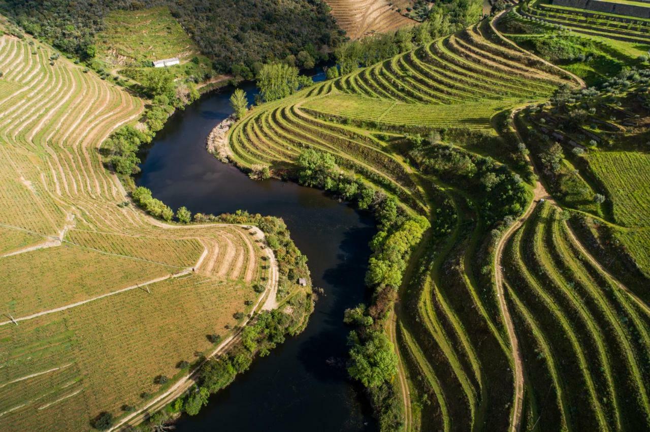 Vila Gale Douro Vineyards بلدية آرمامار المظهر الخارجي الصورة